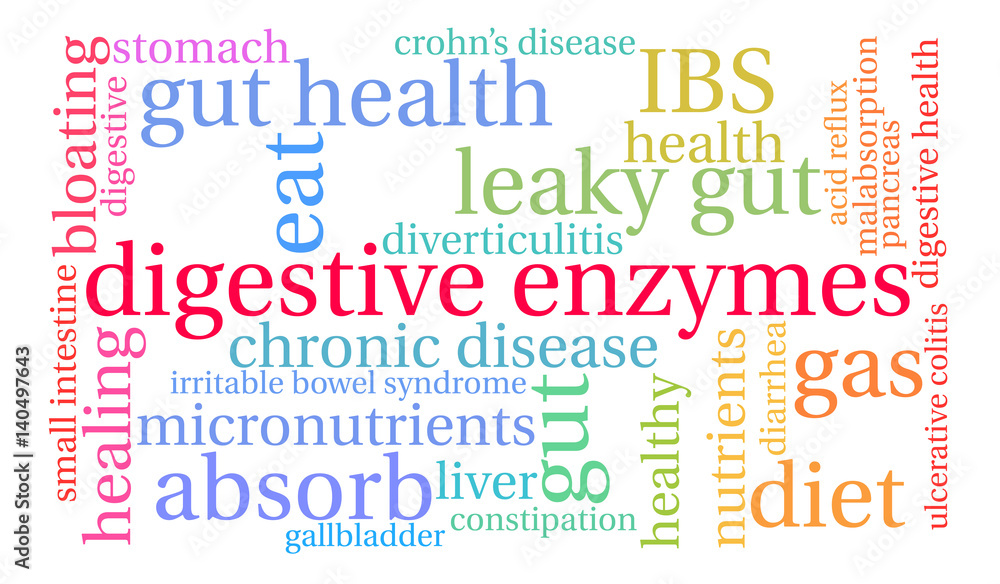 Fototapeta premium Digestive Enzymes Word Cloud on a white background. 