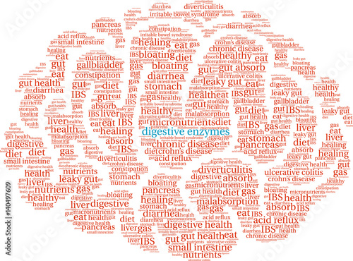 Digestive Enzymes Word Cloud on a white background. 