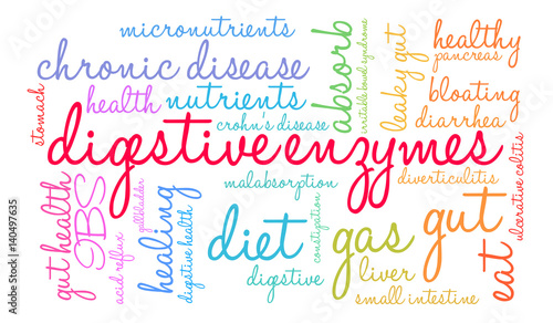 Digestive Enzymes Word Cloud on a white background. 
