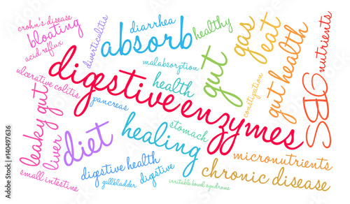 Digestive Enzymes Word Cloud on a white background. 