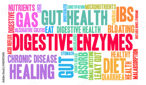 Digestive Enzymes Word Cloud on a white background.
