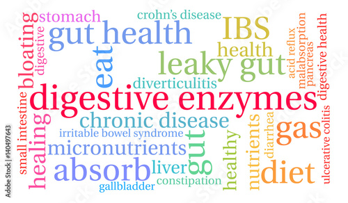 Digestive Enzymes Word Cloud on a white background. 