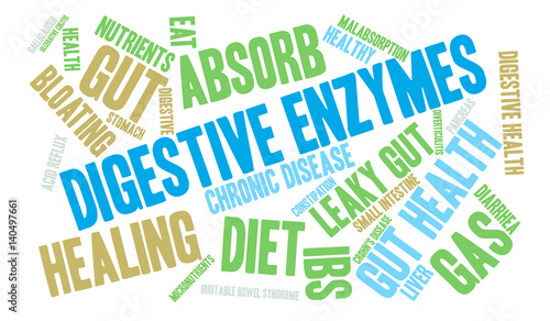 Digestive Enzymes Word Cloud on a white background. 