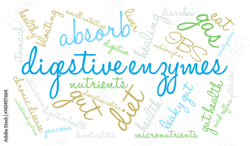 Digestive Enzymes Word Cloud on a white background.