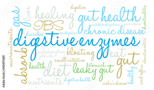 Digestive Enzymes Word Cloud on a white background. 