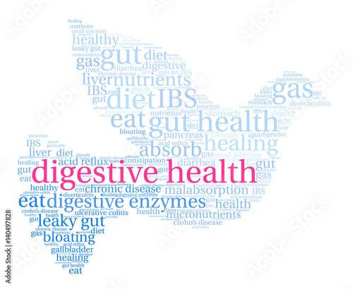 Digestive Health Word Cloud on a white background. 