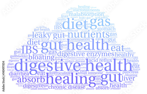 Digestive Health Word Cloud on a white background. 