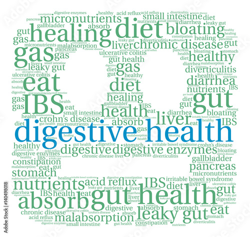 Digestive Health Word Cloud on a white background. 