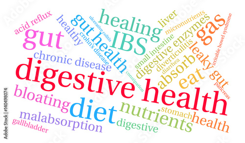 Digestive Health Word Cloud on a white background.