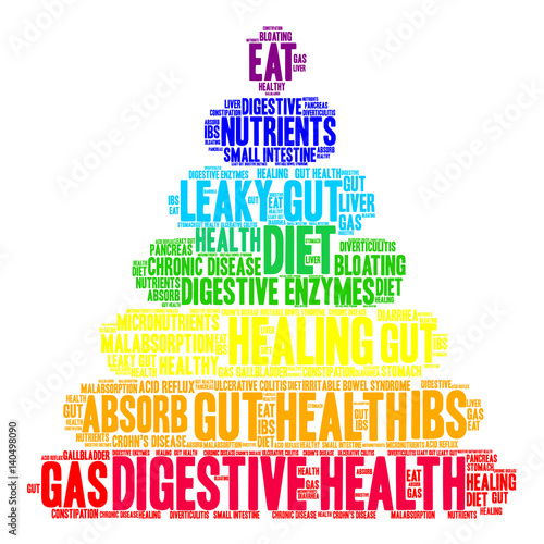 Digestive Health Word Cloud