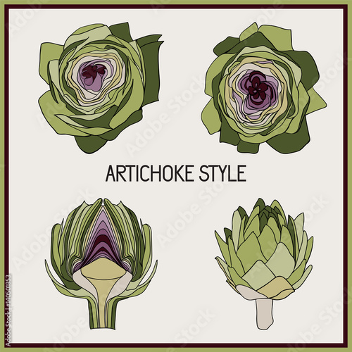 Set of artichoke symbol. Style for beauty salon, eco-store, cafe, restaurant