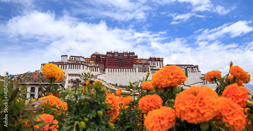 Fototapeta The Potala Palace in Lhasa, Tibet