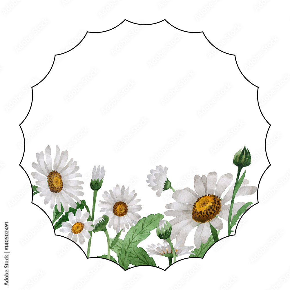 Fototapeta premium Wildflower chamomile flower frame in a watercolor style isolated.