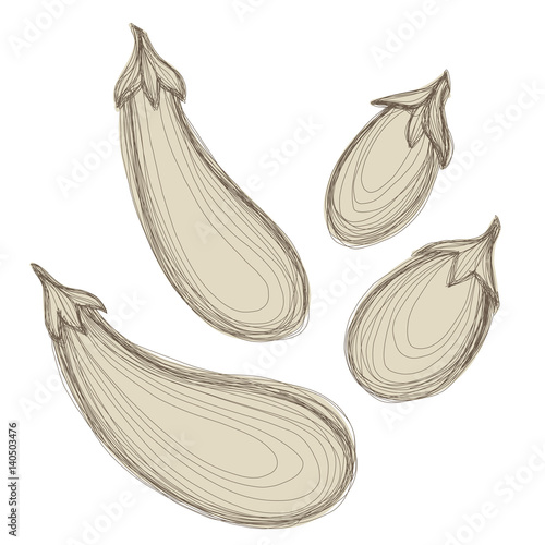 Set of hand drawn sketches of eggplants over white background