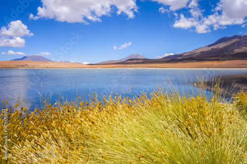 Altiplano laguna in sud Lipez reserva, Bolivia photo