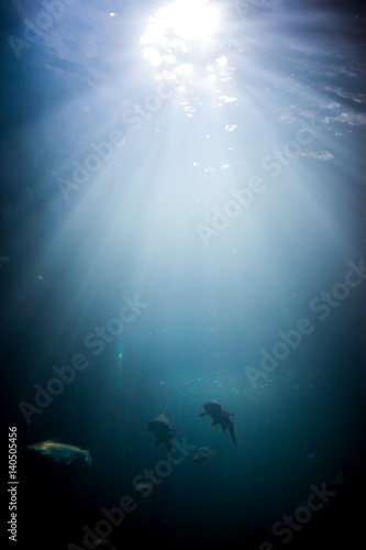 Light, Sunshine underwater.