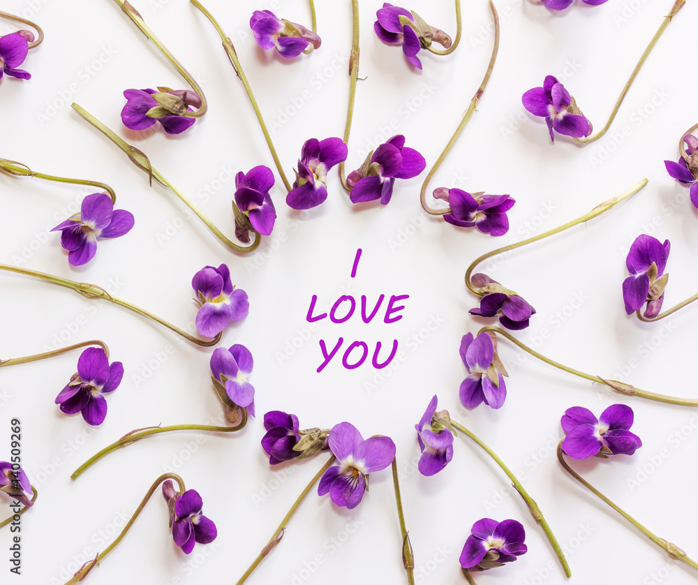 Inscription I love you in a frame of small forest flowers purple on a white background. Flat lay, top view
