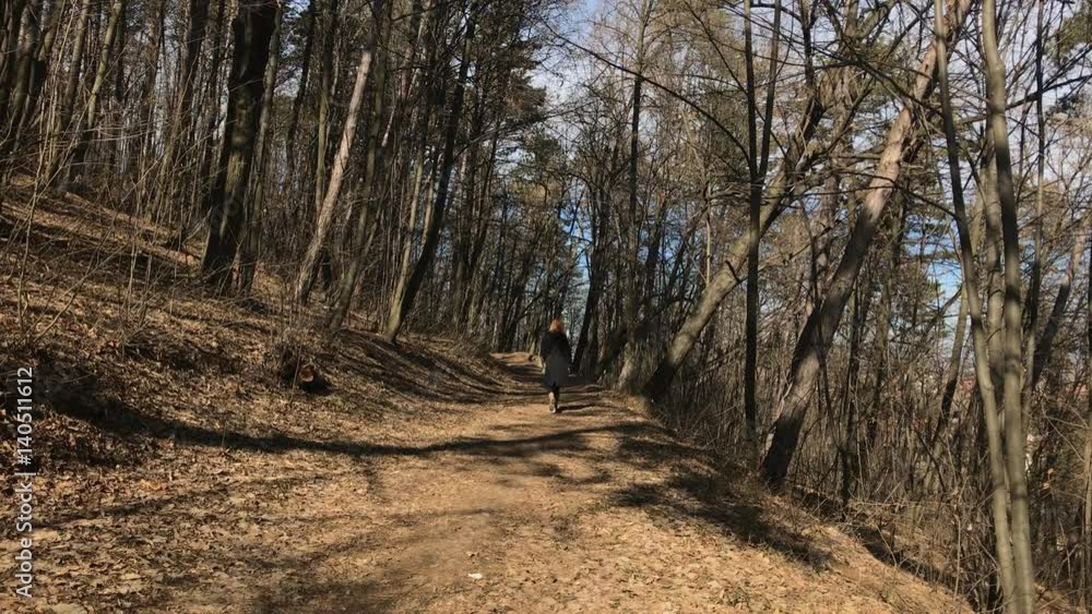 Female in the nature walking and relaxing slow-mo 1920X1080 HD footage - Woman leading through forest slow motion Female in the nature walking and relaxing slow-mo 1920X1080 HD footage - Woman leading through forest slow motion