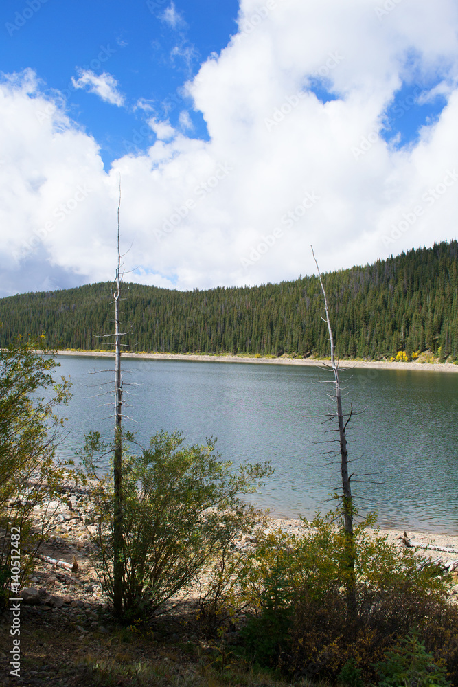 Nature of the Jefferson Lake Recreation Area, Colorado