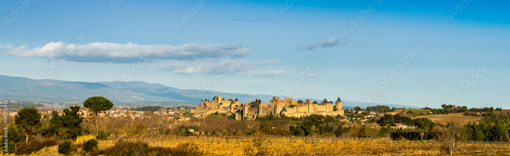 Cité de Carcassonne, Aude, Occitanie, France