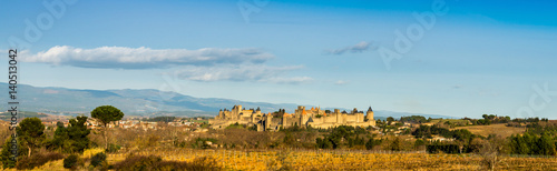 Cit   de Carcassonne  Aude  Occitanie  France