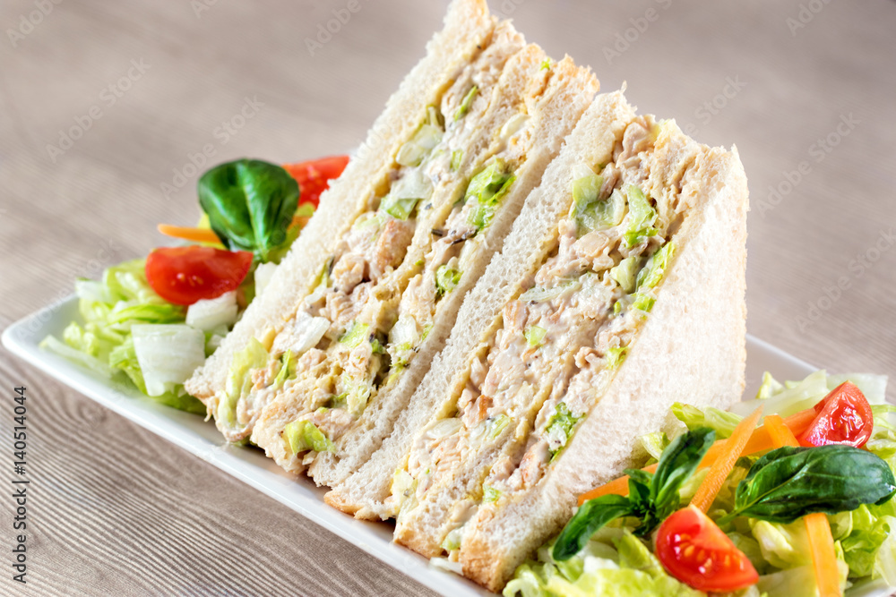 Chicken and mayonnaise sandwich slices. Chicken and mayonnaise sandwich slices.