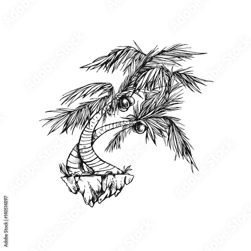 Beautiful palm on the white background. Coconut tree. Nice tropical illustration. Creative author image. 
