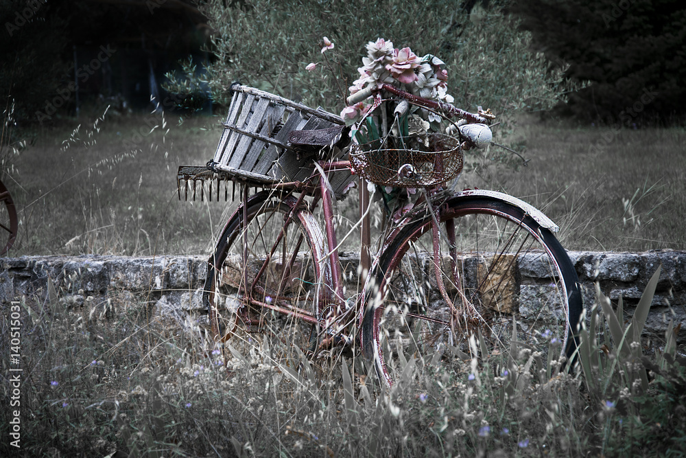 Fototapeta premium Luberon Flower Bike