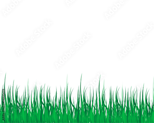 grass illustrator vector white background
