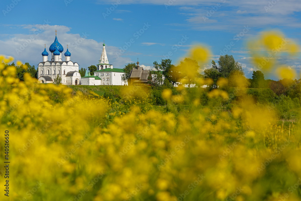 Suzdal, Golden ring of Russia. Summer landscape with view of the Suzdal Kremlin through the yellow leaves in the meadow.