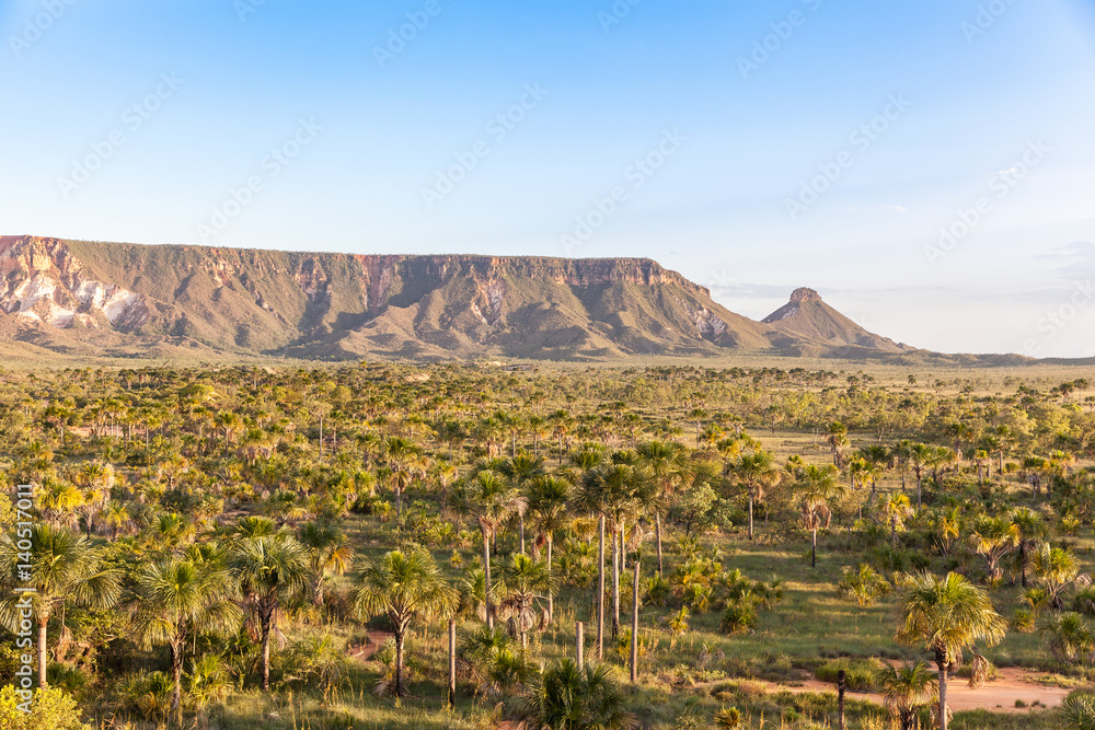 Fototapeta premium Sight of the Espirito Santo Ridge in Jalapao - Tocantins - Brazil