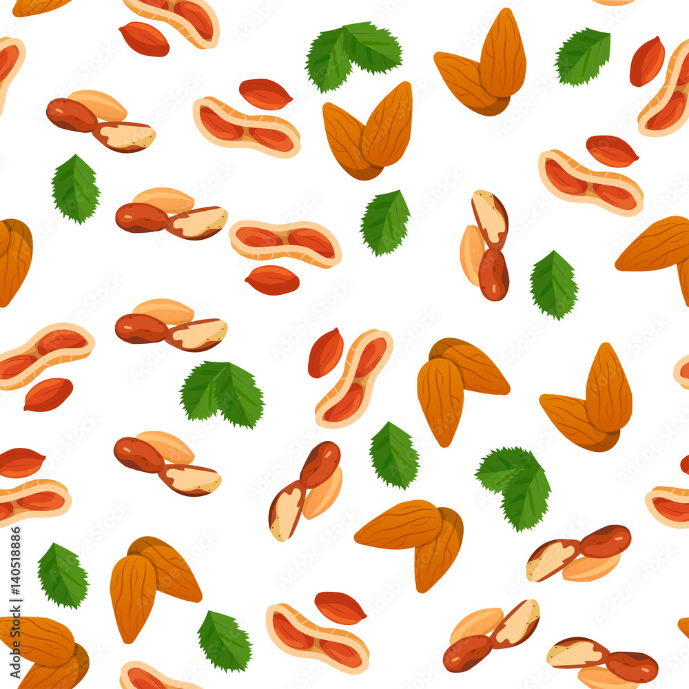 illustration of nuts illustration of nuts