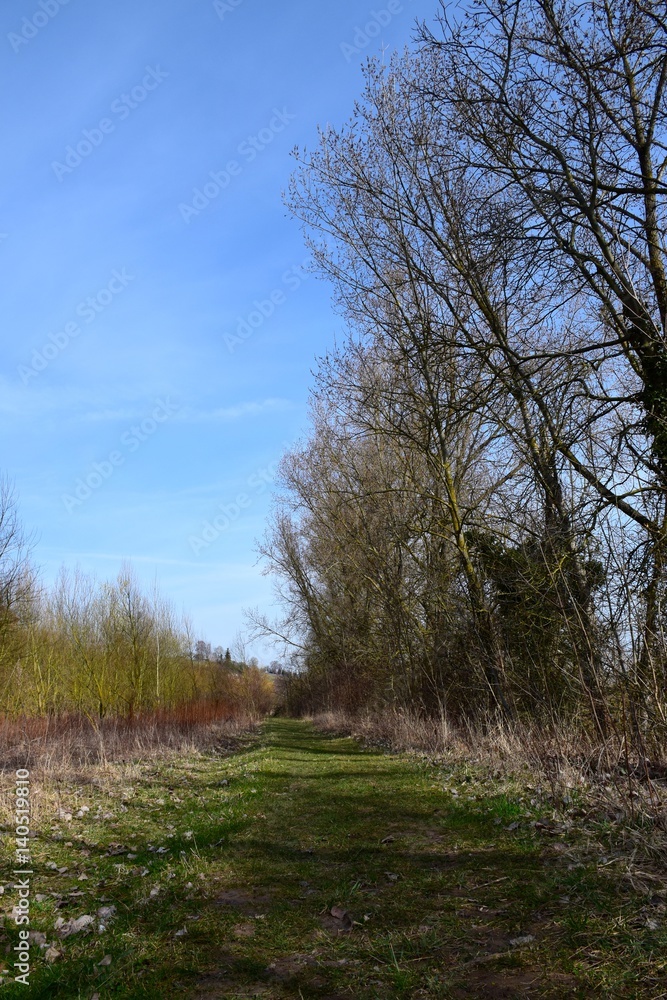 Grasweg durch die Natur im März