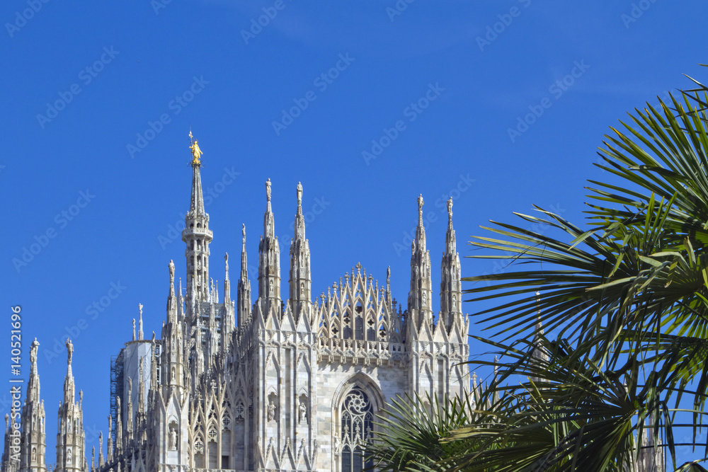 duomo di milano con madonnina e foglie di palma lombardia italia europa