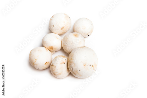 Champignon mushroom family isolated on white background