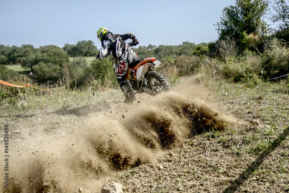 derapata mx derapata mx