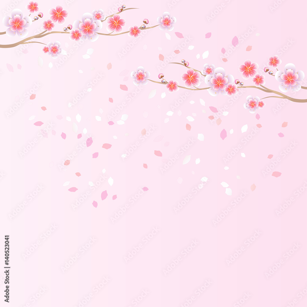 Branches of Sakura and petals flying isolated on light pink background. Apple-tree flowers. Cherry blossom. Vector Branches of Sakura and petals flying isolated on light pink background. Apple-tree flowers. Cherry blossom. Vector