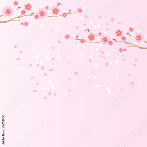 Branches of Sakura and petals flying isolated on light pink background. Apple-tree flowers. Cherry blossom. Vector 
