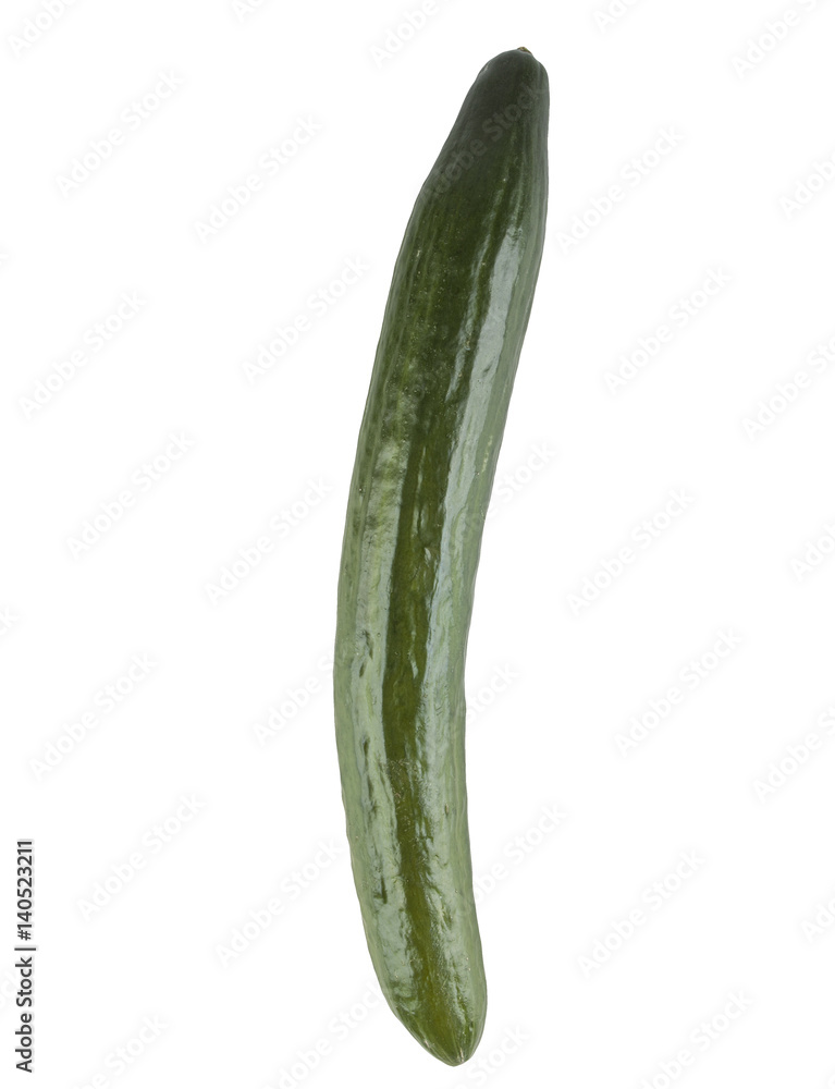 fresh green cucumber on a white background fresh green cucumber on a white background