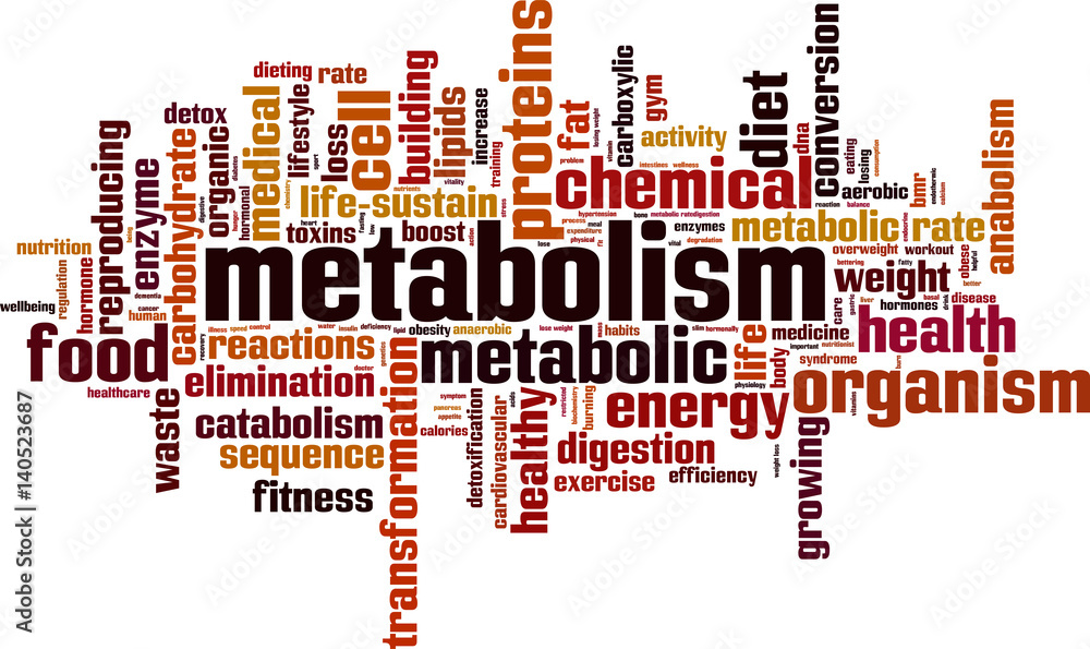 Metabolism word cloud