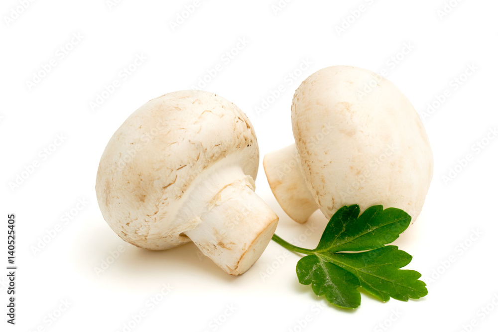Two white mushroom on a white Two white mushroom on a white