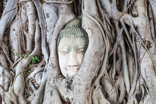 Ancient buddha head embeded in banyan tree from Ayutthaya, Thailand