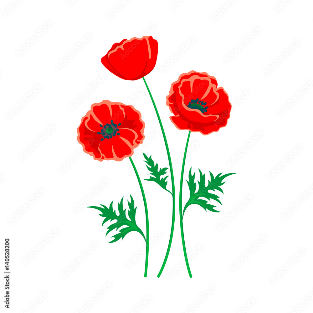 Red poppy illustration. Vector isolated flower on white