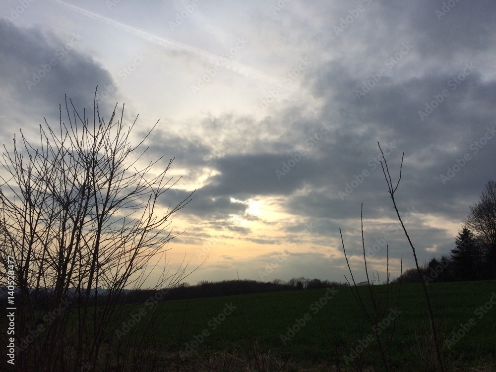 Naturlandschaft am Abend