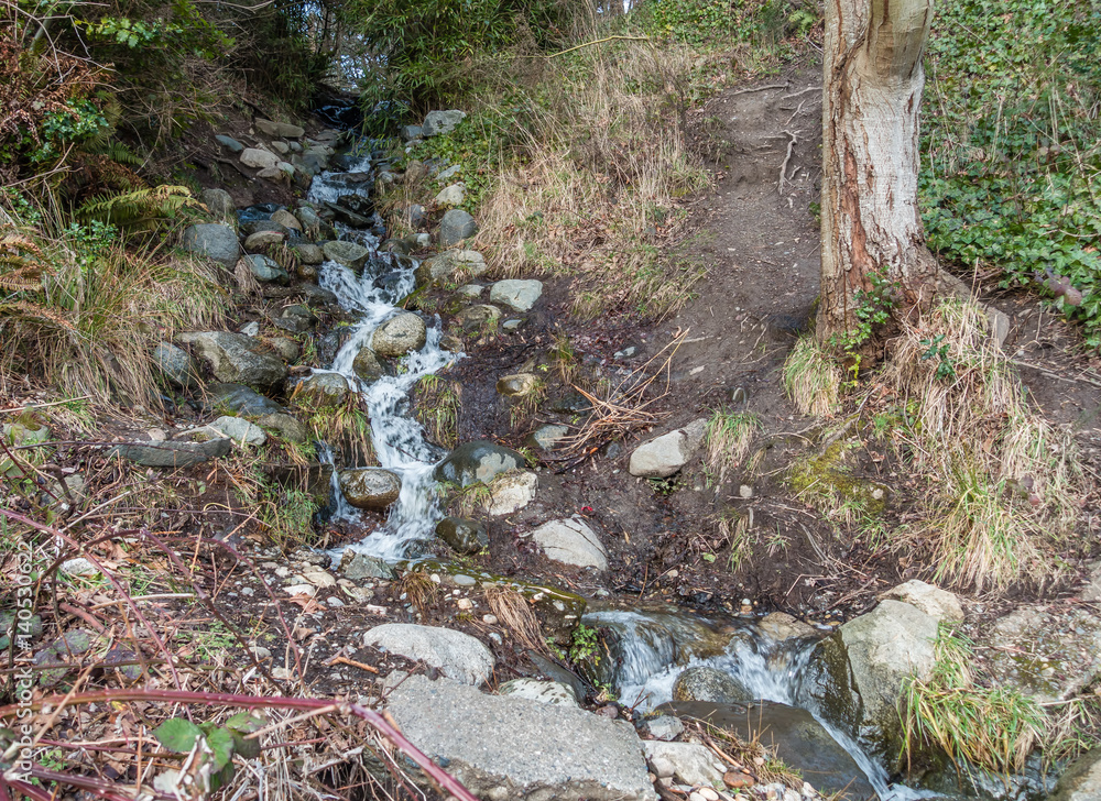 Lincoln Park Stream Lincoln Park Stream