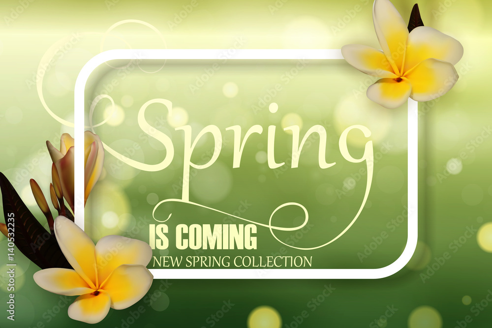 Realistic 3D Frangipani (Plumeria), Palm leaves and Spring is coming Lettering. Vector Illustration EPS10