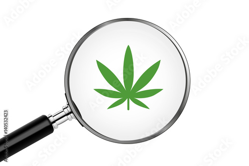 Lupe sucht/findet - Hanf Blatt - Cannabis