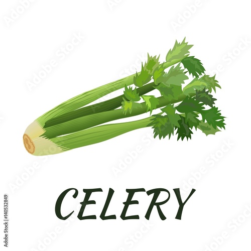 Celery. Flat design. Vector illustration. Ripe vegetable for Your ideas.