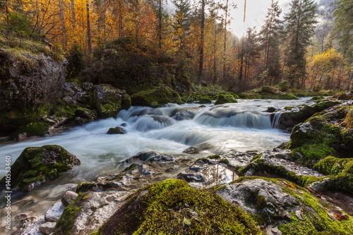 Waldbach im Escherntal, Österreich