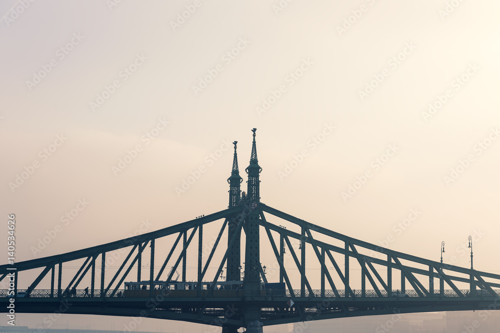 Obraz premium Distant view of Liberty or Freedom bridge over Danube river, Budapest, Hungary, Image is toned